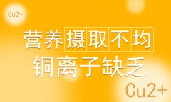 北京白癜风医生患者吃什么食物对病情有好处