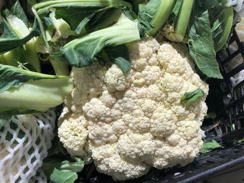 菜花夫妇吃瓜视频在线观看,揭秘娱乐圈幕后故事