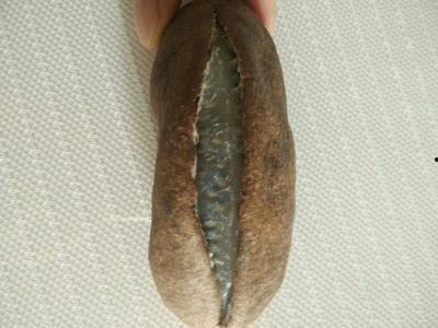 八月瓜怎样吃视频,视频教你轻松享美食