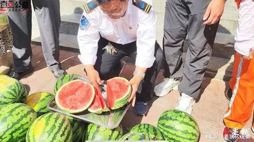 莱阳网红吃瓜事件视频,一场网络狂欢背后的真相揭秘