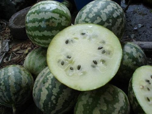 农村铁瓜怎么吃视频,教你轻松解锁多种烹饪方法