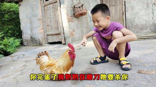 小孩因吃鸡瓜被杀害视频,儿童误食鸡瓜惨遭不幸