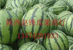 搞笑视频西瓜吃哈密瓜,笑料横生上演“水果大作战”