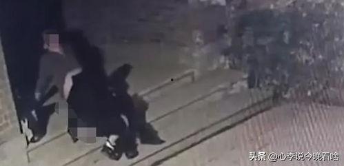 动物吃瓜视频完整版,动物们的吃瓜盛宴大揭秘